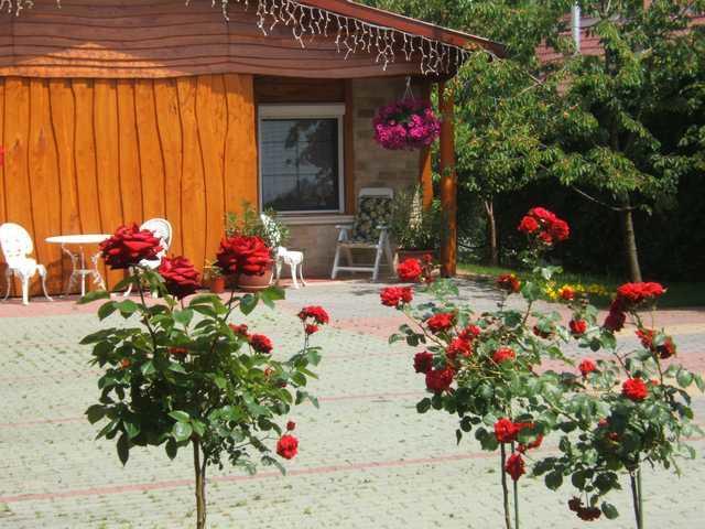 Angela Panzio Bed & Breakfast บาแรตจูวิฟาลู ภายนอก รูปภาพ