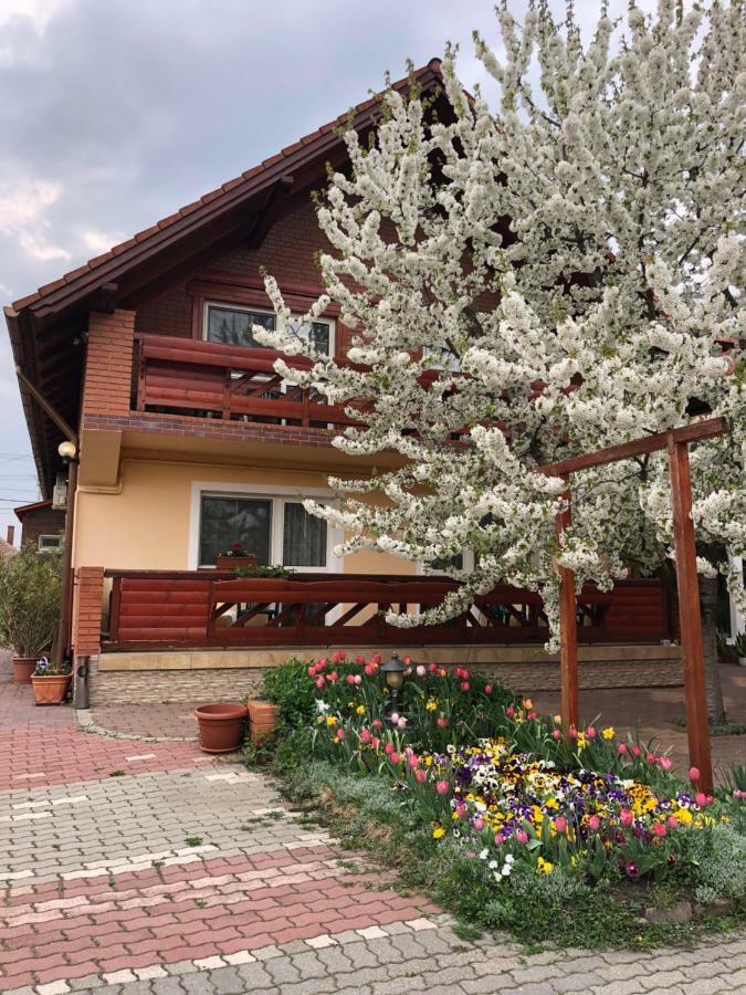 Angela Panzio Bed & Breakfast บาแรตจูวิฟาลู ภายนอก รูปภาพ